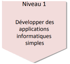 Niveau 1 - Développer des applications informatiques simples