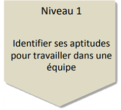 Niveau 1 - Identifier ses aptitudes pour travailler dans une équipe